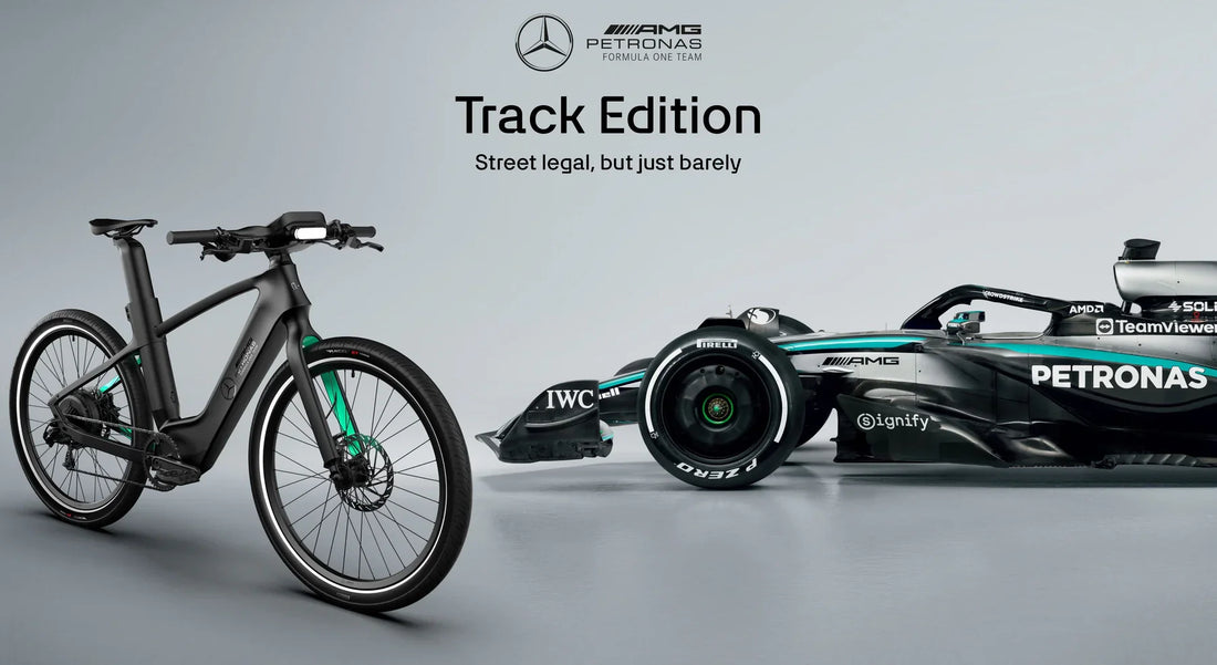 Mercedes-AMG PETRONAS F1® Team Rallye Edition 750 Electric Bike: The Ultimate Holiday Gift for Power & Performance Riders