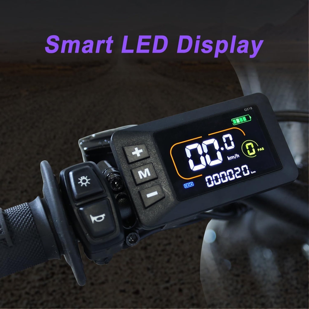 EM5 Electric Dirt Bike w/Light & Display, Off-Road Motorcycle 2600W 3 Speed Modes (Max 40MPH) 48V Range 53MI, 14"/12" Tires, Dual Suspension & Hydraulic Brakes Fit Age 13+, Carbon Fiber Style