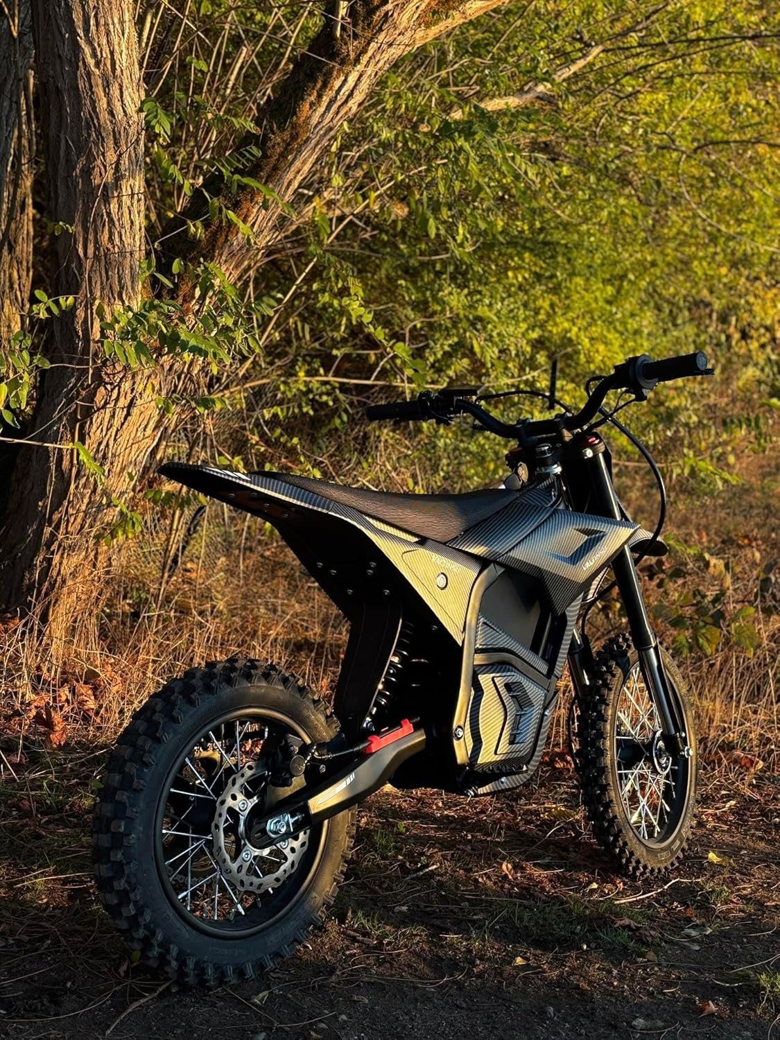 EM5 Electric Dirt Bike w/Light & Display, Off-Road Motorcycle 2600W 3 Speed Modes (Max 40MPH) 48V Range 53MI, 14"/12" Tires, Dual Suspension & Hydraulic Brakes Fit Age 13+, Carbon Fiber Style