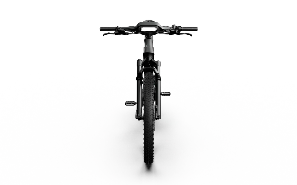 Mercedes-AMG PETRONAS F1® Team Rallye Edition 750 Electric Bike